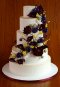 Elegantly Iced Custam cakes Wedding cake